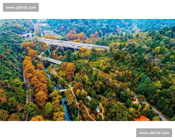 以绿色生态为核心推动高质量发展共建人与自然和谐未来之路新篇章